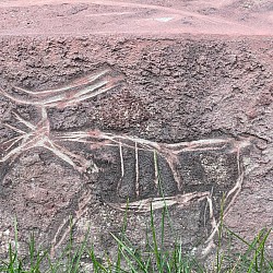 Выбитый рисунок на камне